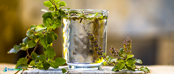 Tulsi Uses, Medicinal Effects and Benefits