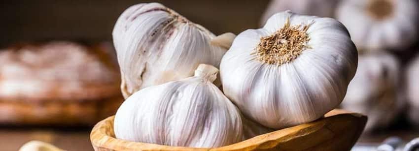 Health Benefits of Garlic/Lahsun with Nutrition Value and Its Side Effects
