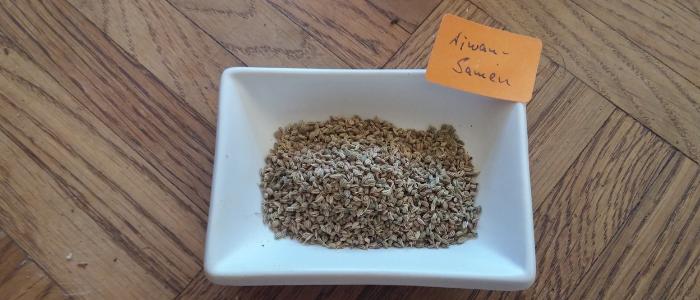 Ajwain- amazing benefits of carom seeds