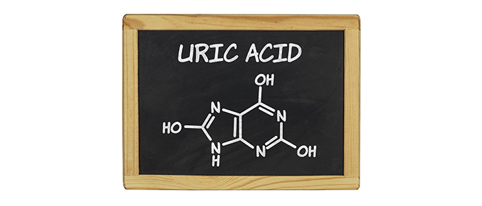 High uric acid level causes and symptoms