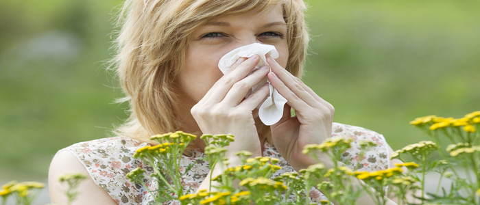 Allergy Relief: Identifying the 5 Best OTC Medications