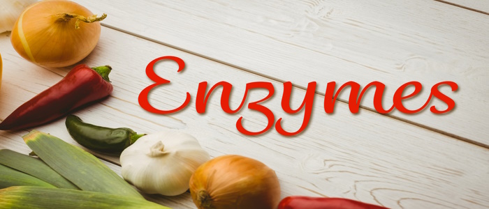 Digestive Enzymes: Types and Function
