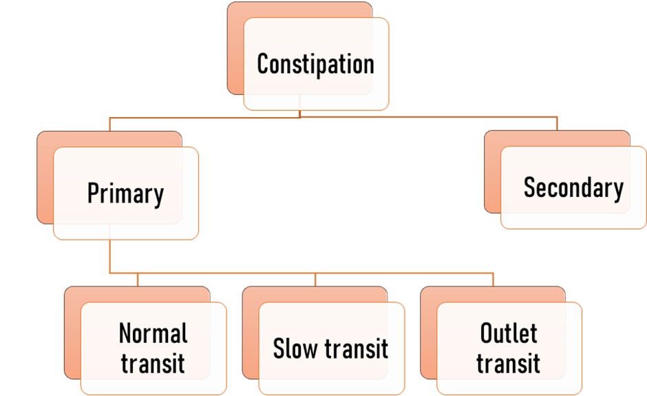 Types-of-Constipation