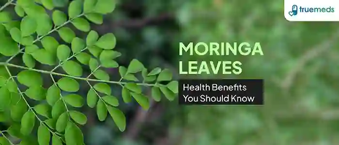 Moringa Leaf Benefits – 16 Health Benefits That You Should Know