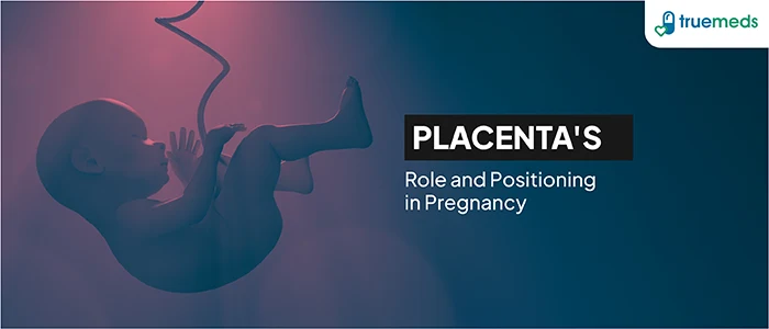 Understanding Anterior Placenta: A Comprehensive Guide to Maternal Health